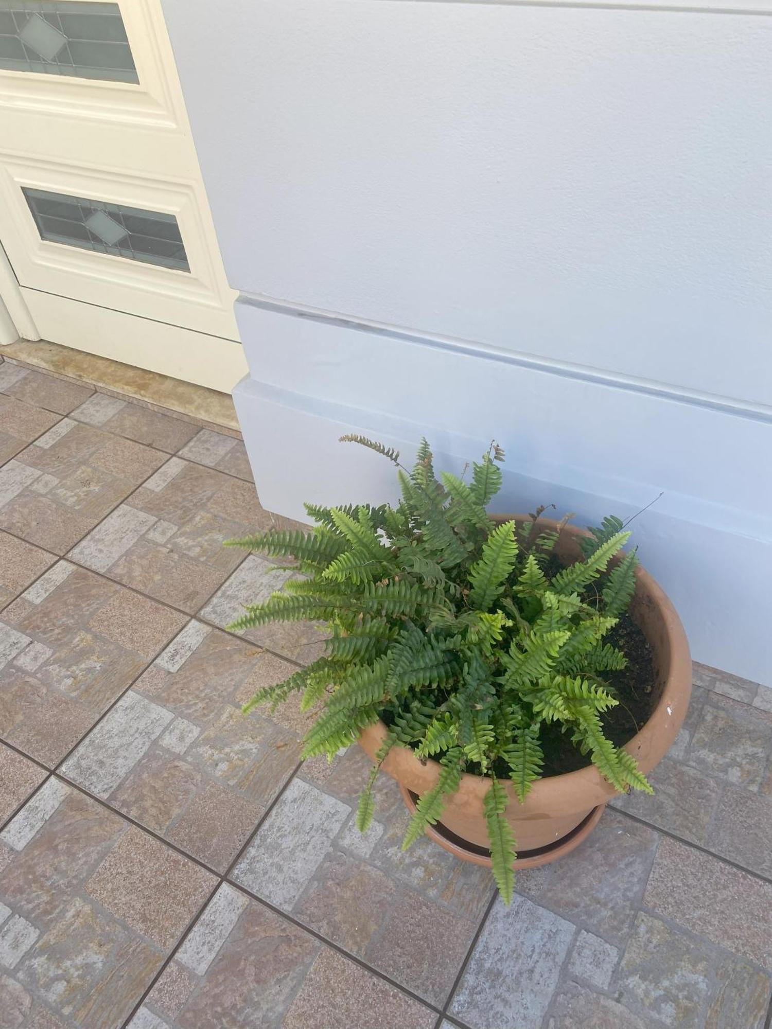 New Unique Apartment In Heraklion Exteriör bild