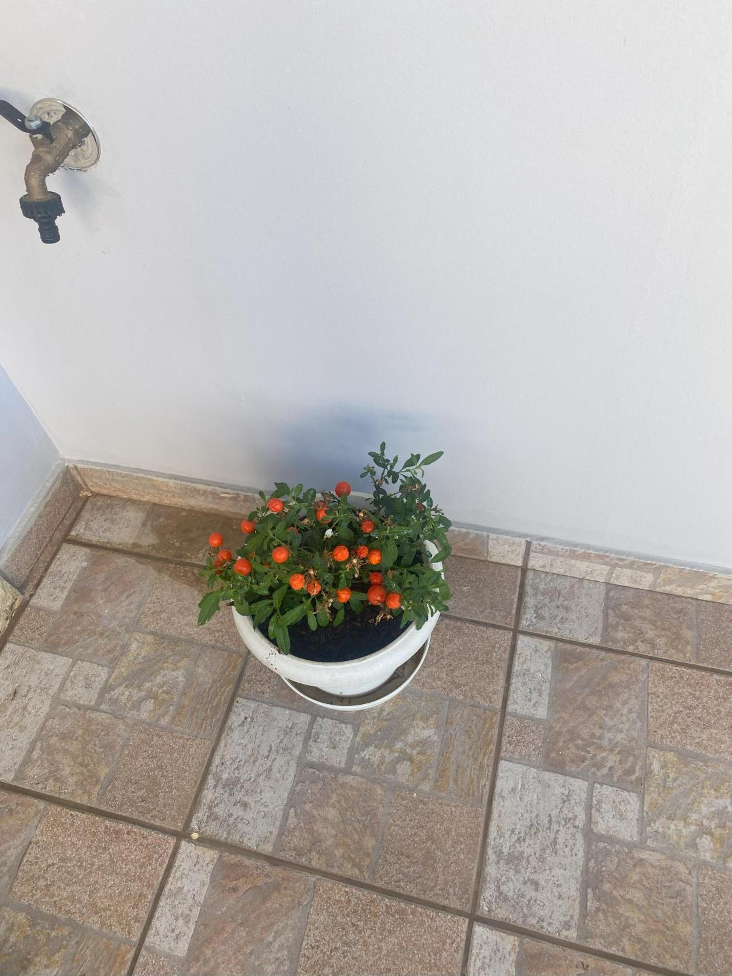 New Unique Apartment In Heraklion Exteriör bild